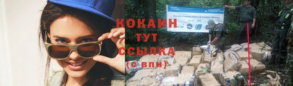 стафф Михайловка