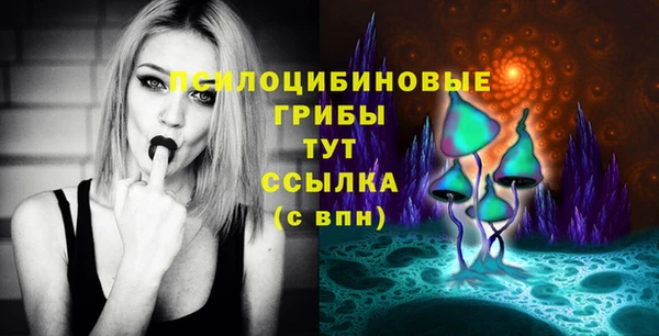 прущая мука Михайлов