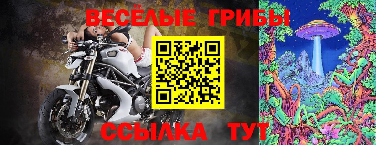 Кисловодск  Псилоцибиновые грибы GOLDEN TEACHER  Вход с VPN  Галлюциногенные грибы мицелий 