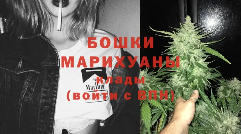 МАРИХУАНА OG Kush  Кисловодск 